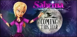 Quel est le nom de ce dessin animé ?