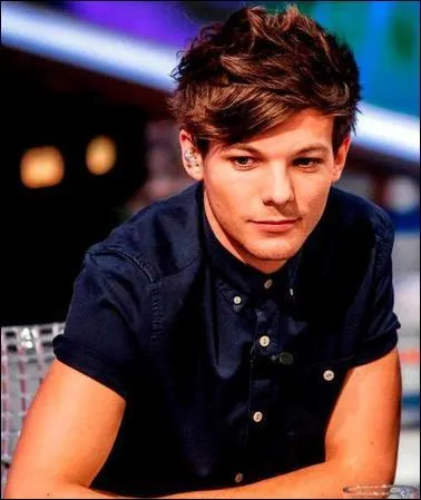 Qui est le héros préféré de Louis ?