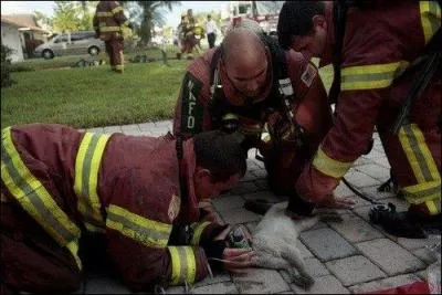 Mon premier suit le premier, un engin volant se pose sur mon deuxième, mon tout n'a pas trop d'importance !