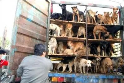 Mon premier n'est pas humide, mon deuxième me prend dans ses filets, mon tout ne se divulgue pas !