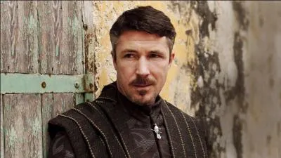 Quel est l'un des métiers exercés par Petyr Baelish, surnommé « Littlefinger » ?