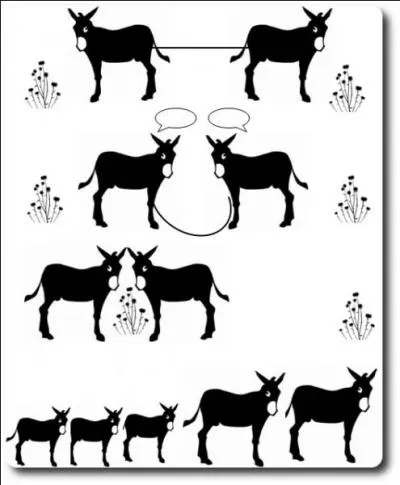 L'image que je vous propose est une histoire sans ... . Elle s'intitule : invitation à la rencontre.