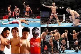 Dans cet autre pays, le catch est là encore très important et populaire. Beaucoup des plus grands noms du catch américain y ont passé quelques années durant leur carrière. Il s'agit :