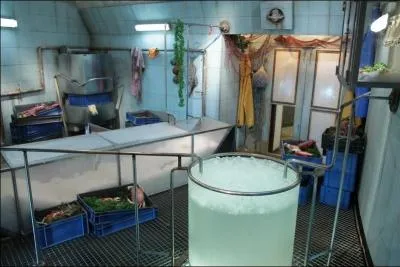 Dans quelle cellule se trouve l'épreuve "Chambre froide" ?