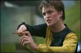 Quel acteur joue le rôle de Cedric Diggory ?