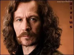 Quel acteur joue le rôle de Sirius Black ?