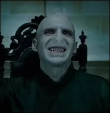Quel acteur joue le rôle de Lord Voldemort ?
