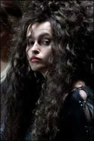 Quelle actrice joue le rôle de Bellatrix Lestrange ?