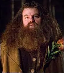 Quel acteur joue le rôle de Rubeus Hagrid ?