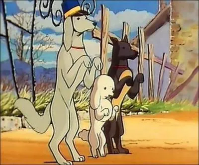 Dans le roman "sans famille" d'Hector Malot, quel est le nom du chien noir ?