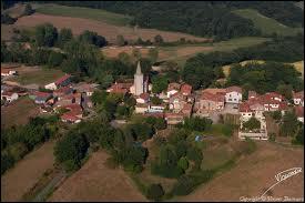 Brassempouy est un village Landais situé en région ...
