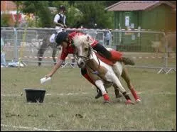 Une discipline ressemble beaucoup aux pony-games, laquelle ?