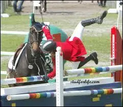 Il existe 2 équitations, lesquelles ?