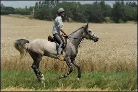 En quoi consiste l'endurance ?