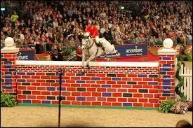 Ce n'est pas du saut d'obstacle, c'est ...