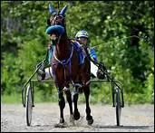 Comment s'appelle le harnachement qui porte le driver ?