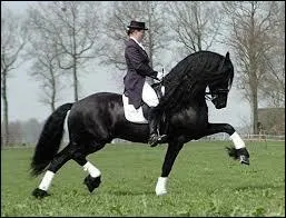 Le dressage est très strict mais est-il dans le concours complet ?