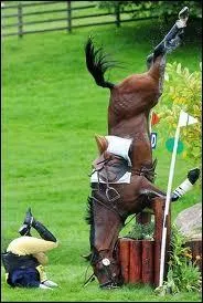 Une discipline équestre est très dangereuse, laquelle ?