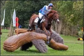 Quelle est la particularité du cross ?