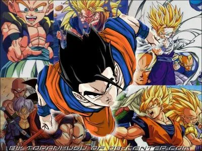 Que voit-on sur l'image ?