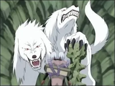 Quel est le nom japonais de la Morsure du Loup ?