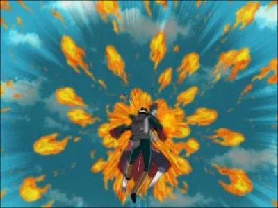 Quel est le nom japonais du Paon Matinal ?