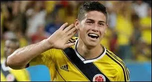 Auteur d'une Coupe du monde remarquable avec la Colombie, meilleur buteur de la compétition avec 6 réalisation, James Rodriguez a gagné le droit de signer au