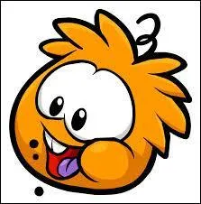 Quel est le nom de cette petite créature qu'on rencontre dans le jeu "Club Penguin" ?