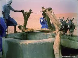 Comment Aurore perd-elle son collier (qui lui vient de sa mère) ? (bon l'image n'est pas celle qui vient du film )