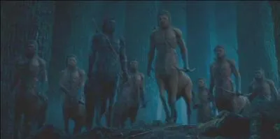 Quel est le premier centaure qu'Harry rencontre ?