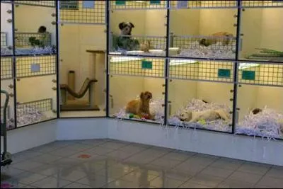 Où travaille Nicolas ?