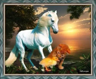 Un autre dresseur américain, John Lyons, nous dit : Votre cheval vous ressemble comme votre reflet dans un ...