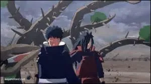 Dans Naruto Storm Revolution, quelle est l'attaque spéciale de Madara et Obito ?