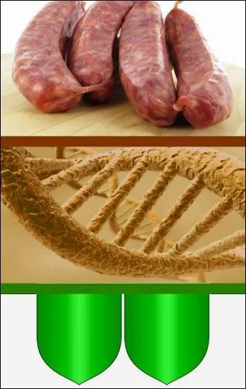 J'avoue qu'ici, il y a de quoi y perdre son latin et retrouver son grec ! Si vous êtes au volant, ne faites pas de tonneau, d'accord ?