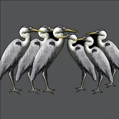 Une seule image, un seul nom, une seule réponse : c'est pas carré, ça ?