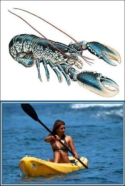 Lui ne coupait pas les cheveux en quatre, mais plutôt ses vers. Persan, il l'était aussi par son regard et son esprit. Le voyez-vous ?