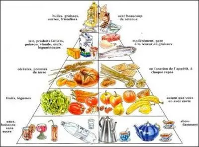 Quels sont les conseils à prodiguer à un patient suivi pour une pathologie cardiaque ?
