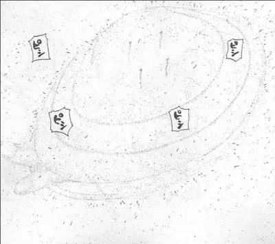 Quel est le nom japonais de la technique : Détection de Sable ?