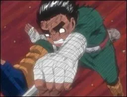 Quel est le nom japonais du Lotus Verso ?