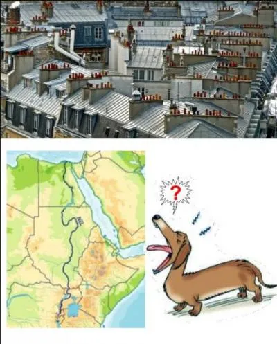 Un film français avec Sandrine Bonnaire : on y parle de toi ?