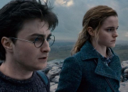 Quiz Harry Potter 7 : partie 1. Les diffrences film/livre