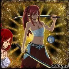 Quel est le nom de cette armure ?