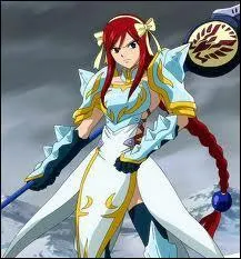 Quel est le nom de cette armure ?