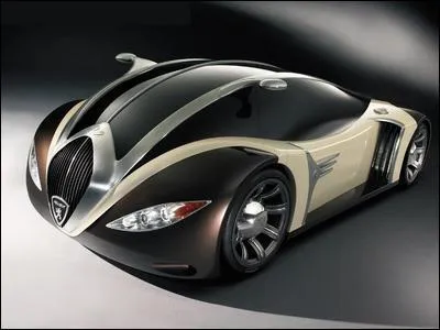 De quelle marque s'agit-il ?