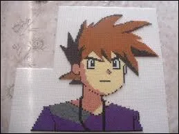 Comment s'appelle le rival de Sacha dans la saison 1 ?