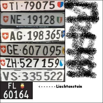 Sur une plaque d'immatriculation suisse les lettres "ZG" sont l'indicatif du canton de Zurich.