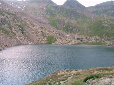 Le Rhône et le Rhin prennent chacun leur source en Suisse.