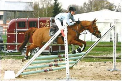 Quel est le nom de cet obstacle ?