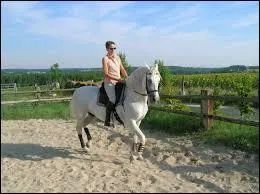 A quelle main cette cavalière marche-t-elle ?