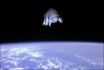 Il existe un animal qui peut vivre dans la glace, dans le désert brûlant, à plus de 4000M de profondeur dans la mer, et même dans l'espace !